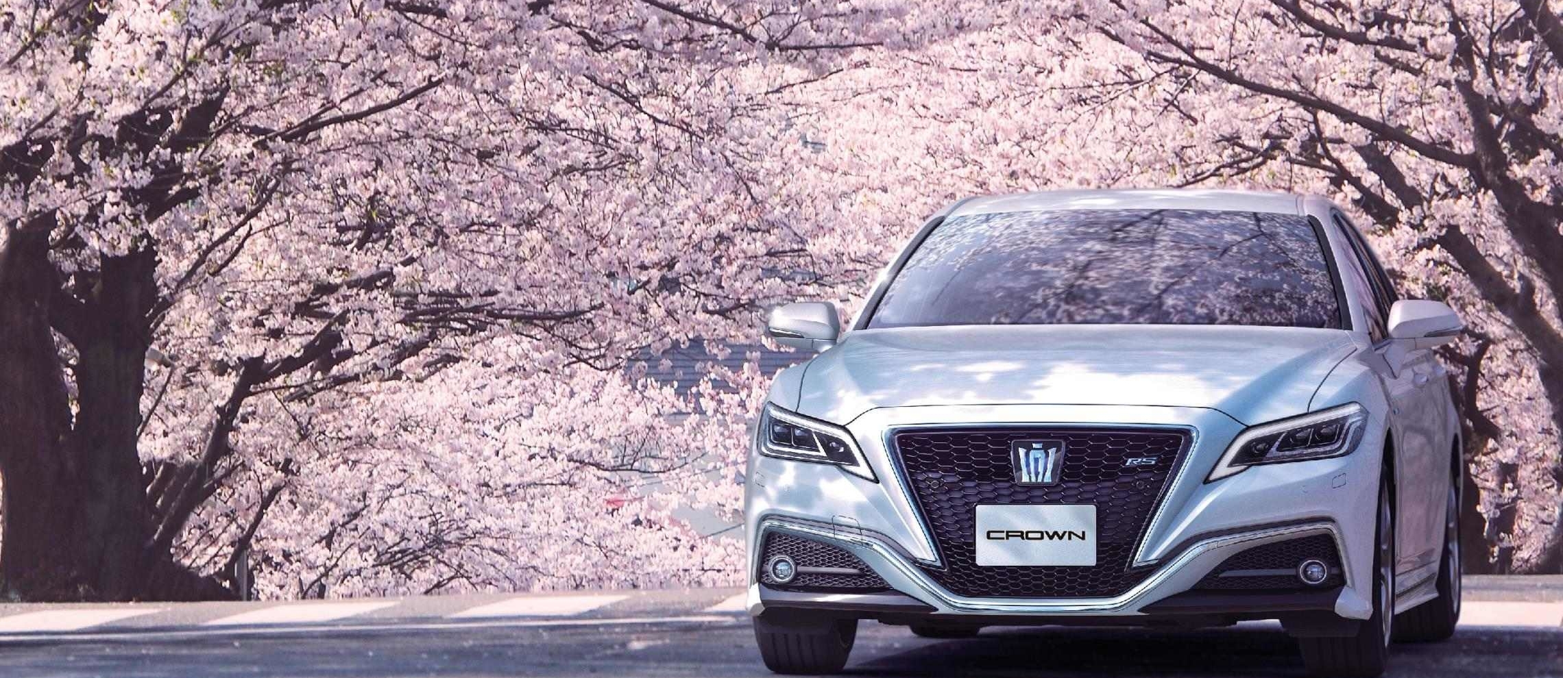 RS Advance(2.5L ハイブリッド車)