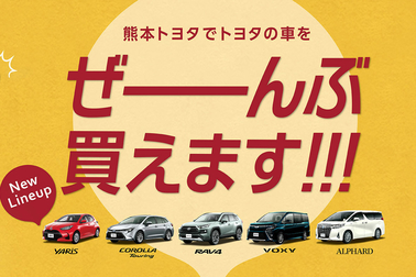 全車種併売スライダー