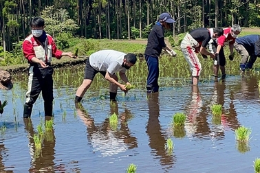 2022.5田植え②