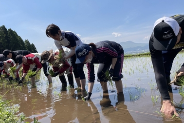 2023.5田植え②