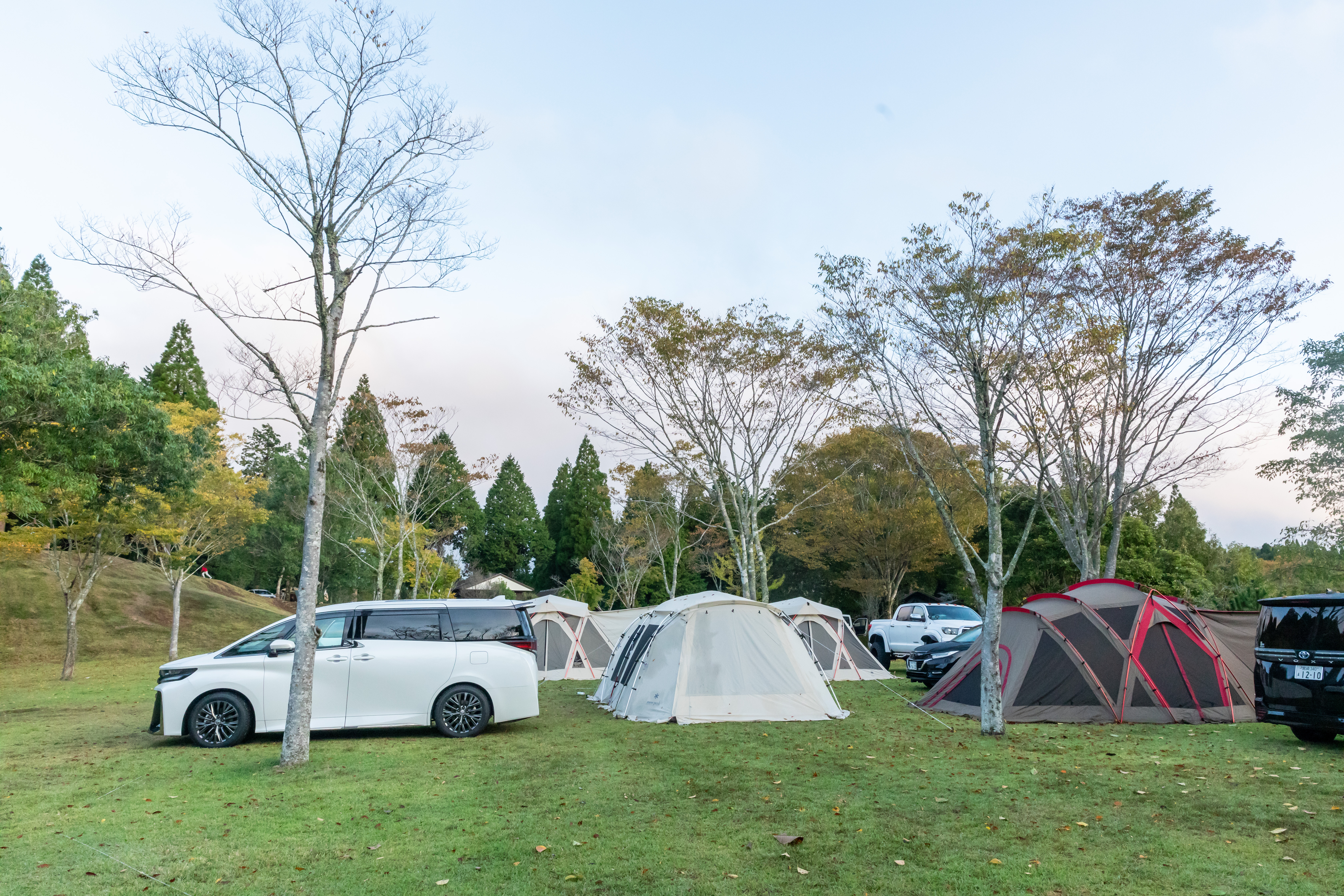 campsaaito