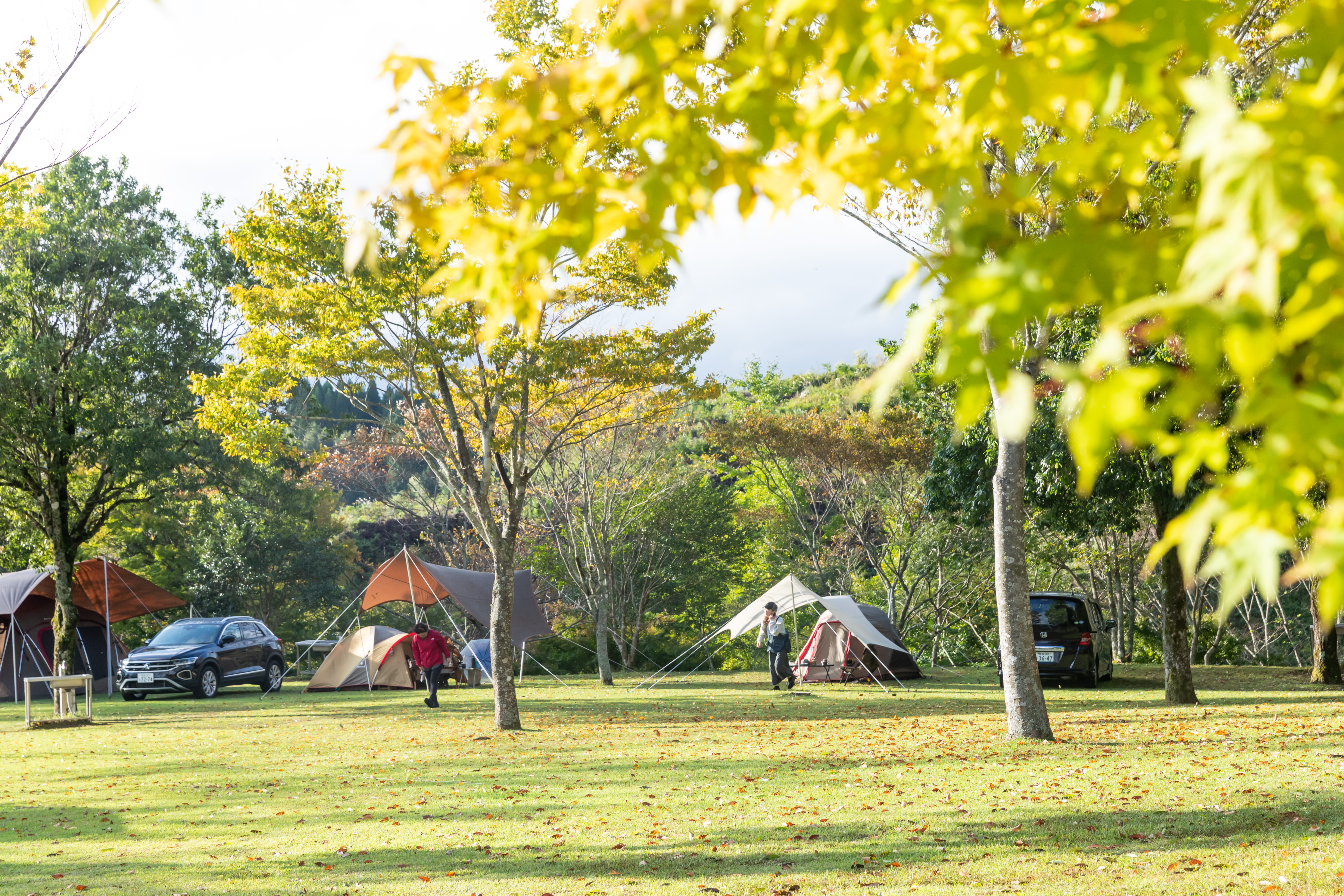 utasecamp