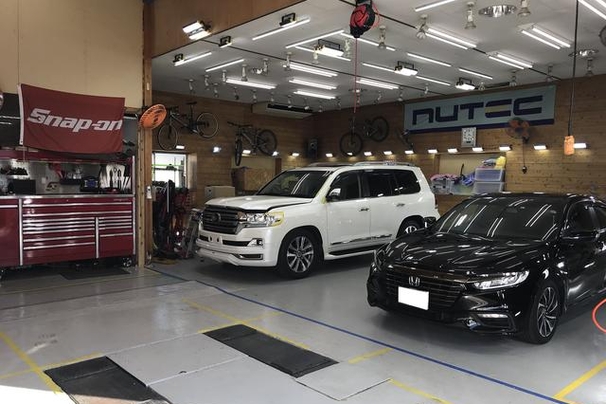 carpolish