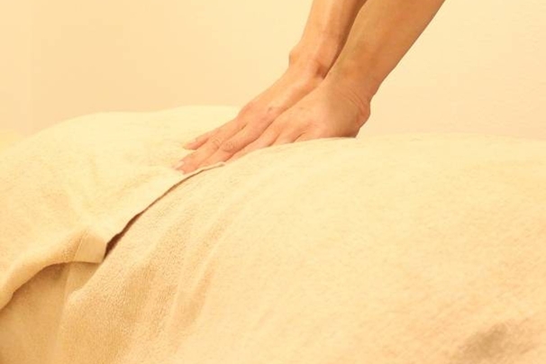 リラクゼーションサロン　いりおのら