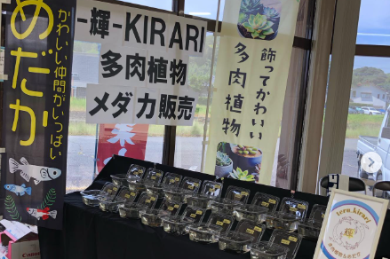 kirari